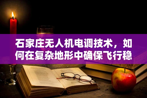 石家庄无人机电调技术，如何在复杂地形中确保飞行稳定？