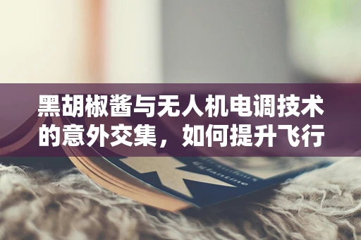 黑胡椒酱与无人机电调技术的意外交集，如何提升飞行稳定性？