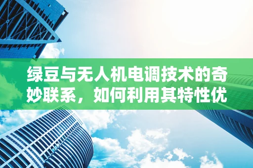 绿豆与无人机电调技术的奇妙联系，如何利用其特性优化飞行稳定性？