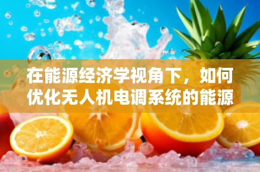 在能源经济学视角下，如何优化无人机电调系统的能源效率？