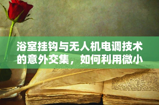 浴室挂钩与无人机电调技术的意外交集，如何利用微小负载实现精准控制？