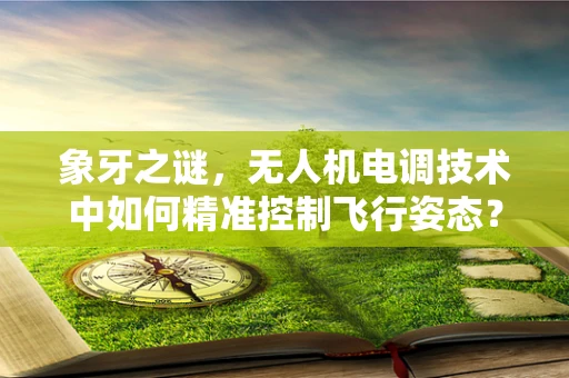 象牙之谜，无人机电调技术中如何精准控制飞行姿态？