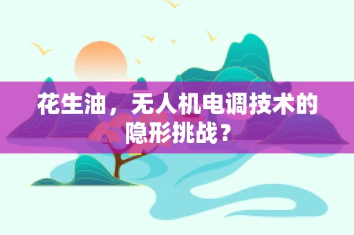 花生油，无人机电调技术的隐形挑战？