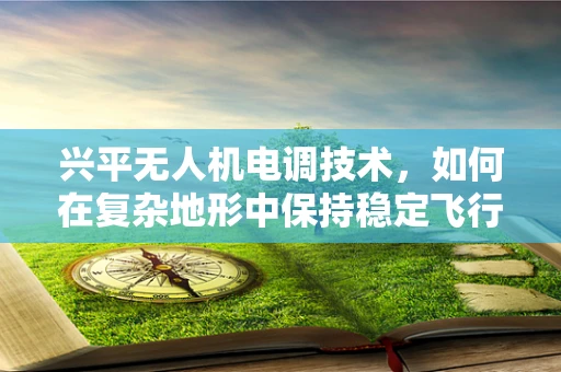 兴平无人机电调技术，如何在复杂地形中保持稳定飞行？