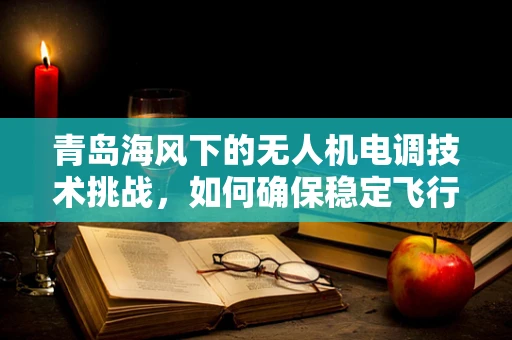 青岛海风下的无人机电调技术挑战，如何确保稳定飞行？