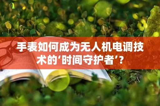 手表如何成为无人机电调技术的‘时间守护者’？