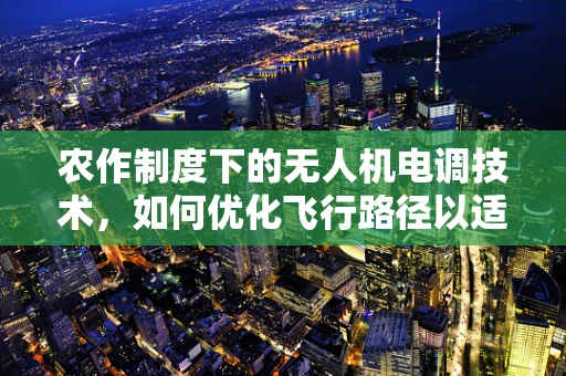 农作制度下的无人机电调技术，如何优化飞行路径以适应复杂农田环境？