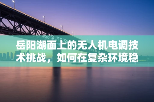 岳阳湖面上的无人机电调技术挑战，如何在复杂环境稳定飞行？