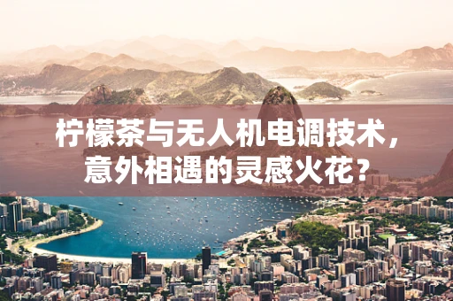 柠檬茶与无人机电调技术，意外相遇的灵感火花？