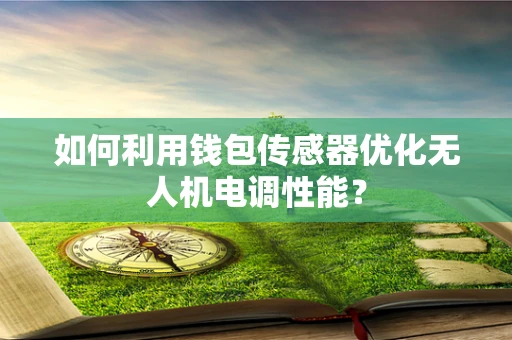 如何利用钱包传感器优化无人机电调性能？