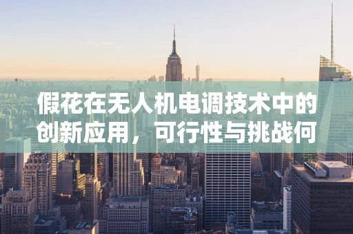 假花在无人机电调技术中的创新应用，可行性与挑战何在？