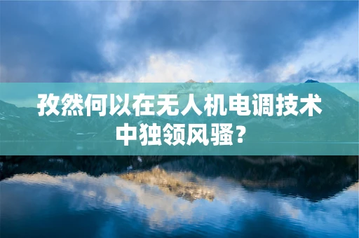 孜然何以在无人机电调技术中独领风骚？