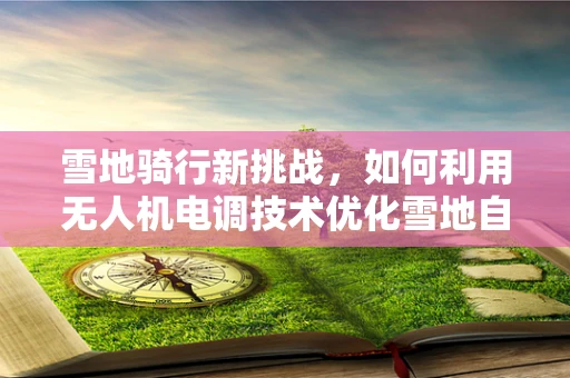 雪地骑行新挑战，如何利用无人机电调技术优化雪地自行车追踪与稳定控制？