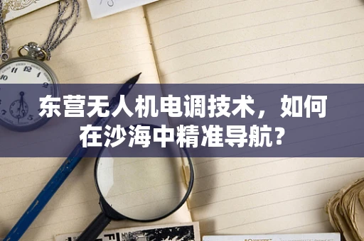 东营无人机电调技术，如何在沙海中精准导航？