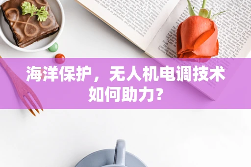 海洋保护，无人机电调技术如何助力？