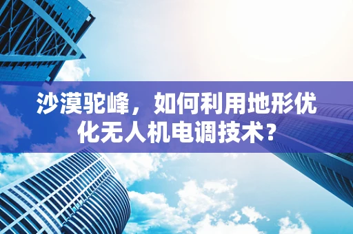 沙漠驼峰，如何利用地形优化无人机电调技术？