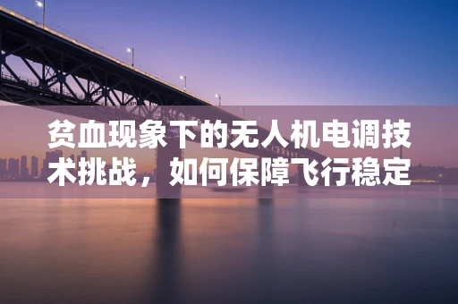 贫血现象下的无人机电调技术挑战，如何保障飞行稳定性？