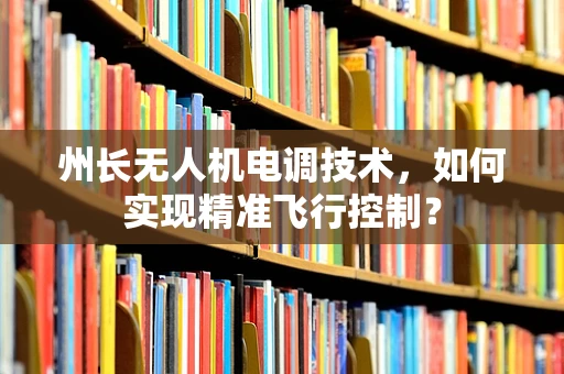 州长无人机电调技术，如何实现精准飞行控制？