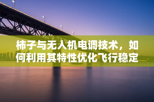 柿子与无人机电调技术，如何利用其特性优化飞行稳定性？