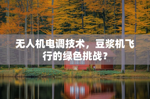 无人机电调技术，豆浆机飞行的绿色挑战？