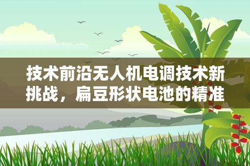 技术前沿无人机电调技术新挑战，扁豆形状电池的精准适配与效能优化