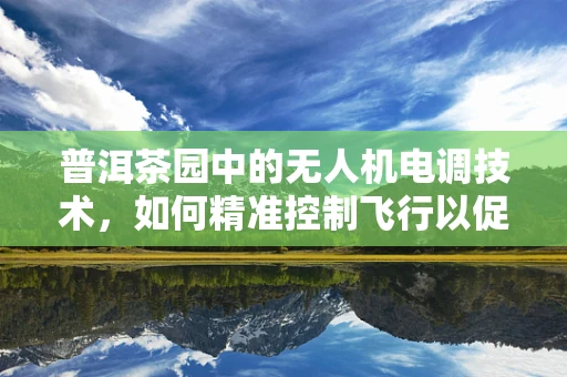 普洱茶园中的无人机电调技术，如何精准控制飞行以促进高效采摘？