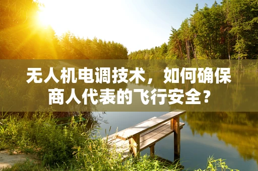 无人机电调技术，如何确保商人代表的飞行安全？