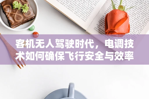 客机无人驾驶时代，电调技术如何确保飞行安全与效率？