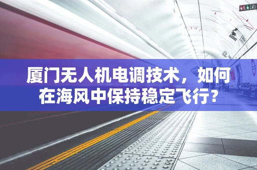 厦门无人机电调技术，如何在海风中保持稳定飞行？