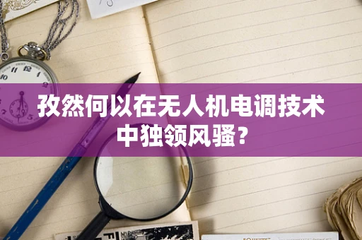 孜然何以在无人机电调技术中独领风骚？