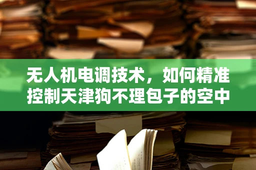 无人机电调技术，如何精准控制天津狗不理包子的空中运输？