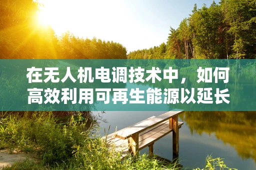 在无人机电调技术中，如何高效利用可再生能源以延长飞行时间？