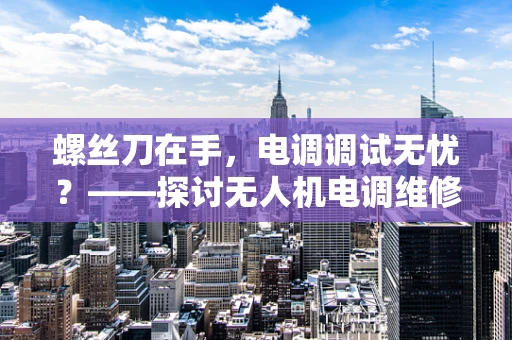 螺丝刀在手，电调调试无忧？——探讨无人机电调维修中的螺丝刀使用技巧