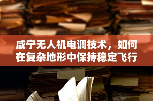 咸宁无人机电调技术，如何在复杂地形中保持稳定飞行？