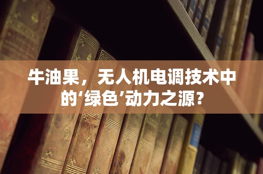 牛油果，无人机电调技术中的‘绿色’动力之源？