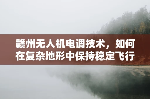 赣州无人机电调技术，如何在复杂地形中保持稳定飞行？